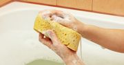 Korzystasz z gąbki do mycia? Natychmiast wyrzuć ją do kosza