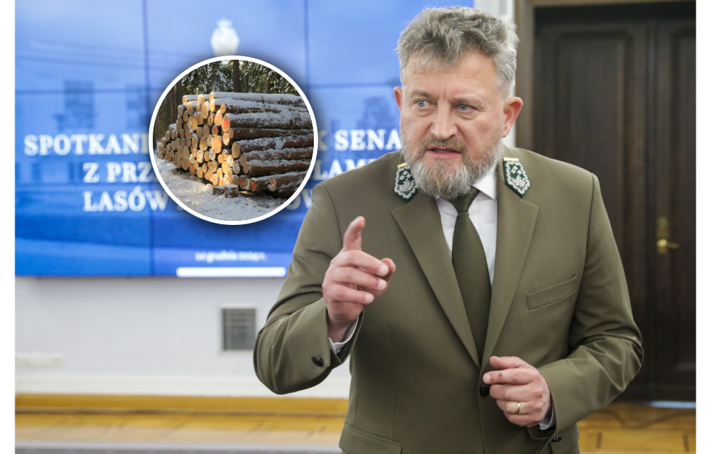 Zysk dwa razy większy. Lasy Państwowe ujawniły wstępne wyniki finansowe