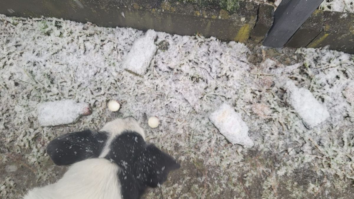 Przewodniczka ostro o sylwestrze na Podhalu