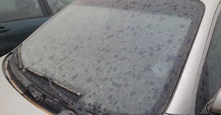 Wszędobylski żółty pył. Jak się go pozbyć?