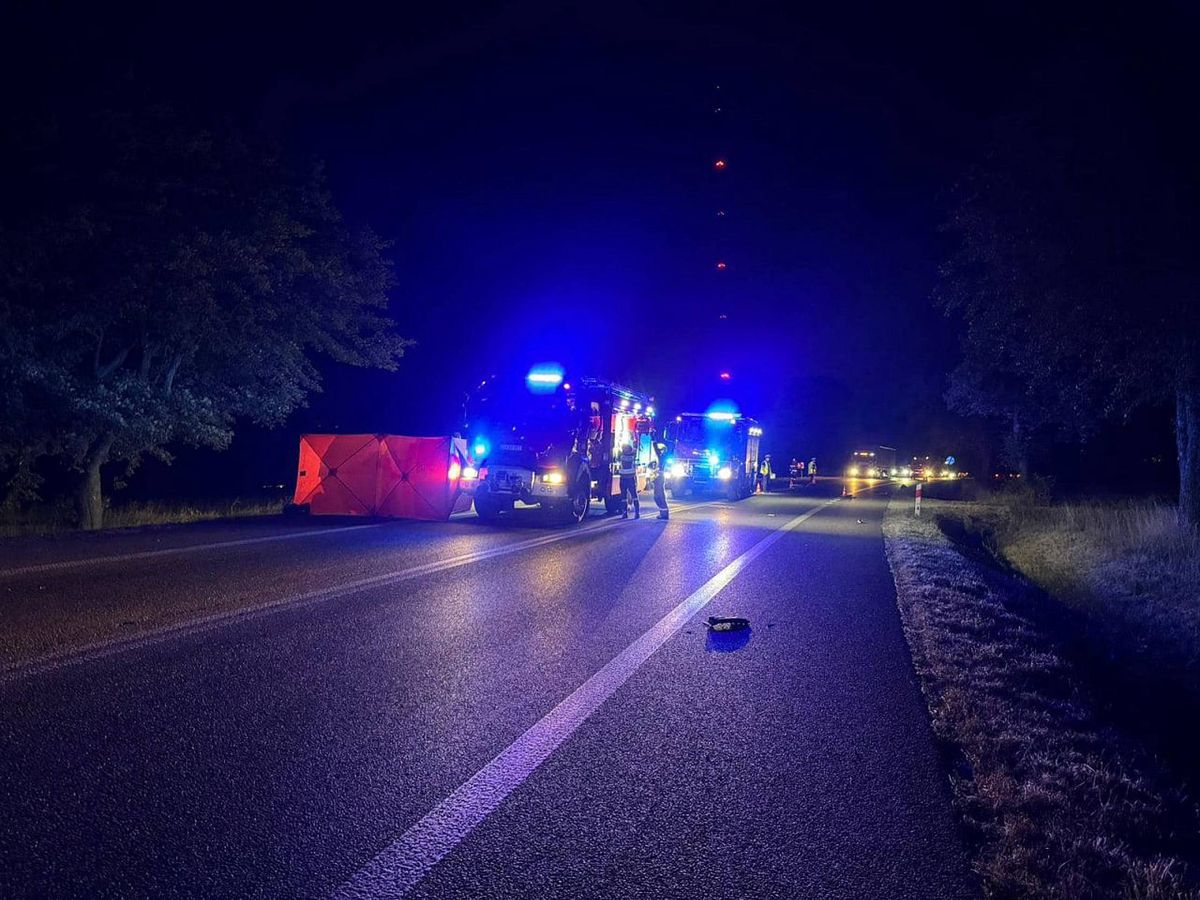 potrącenie, Audi, wypadek śmiertelny Przebiegała przez jezdnię. Uderzyło w nią audi