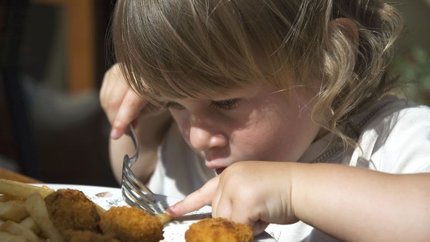 Antybiotyki i hormony w drobiu - jaka jest prawda?