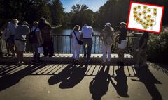 Drugi wybuch ciepła w prognozach. Mamy nowe mapy