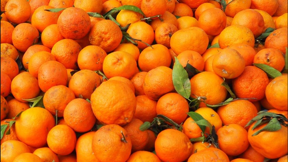 Nie każdy powinien sięgać po cytrusy