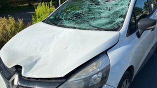Śmiertelny wypadek pod Warszawą. 80-letni rowerzysta przejeżdżał przez przejście, został potrącony. Mężczyzny nie udało się uratować