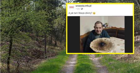 Gigantyczny grzyb w wielkopolskim lesie. Kapelusz ma prawie 45 cm średnicy!