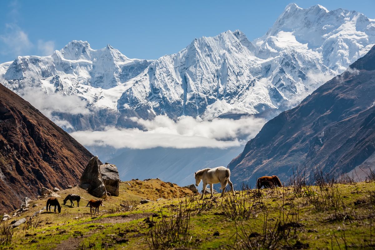 Były żołnierz, a obecnie instagramer Rustam Nabijew zdobył Manaslu (8163 m n.p.m.) - ósmą górę pod względem wysokości na ziemi (zdjęcie ilustracyjne) 