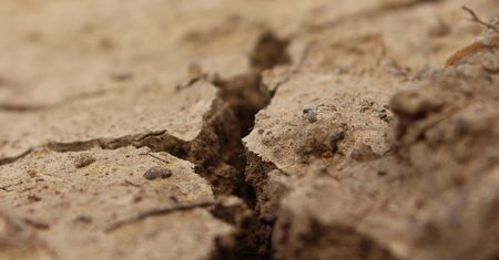 Zmiany klimatu mogą zmienić naszą cywilizację. Ostrzeżenie naukowców