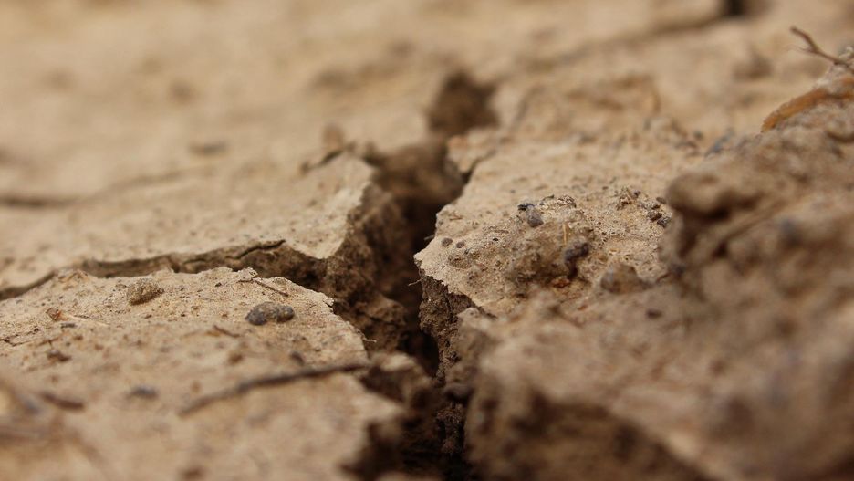 Ludzkość stoi przed wyzwaniami związanymi ze zmianami klimatu