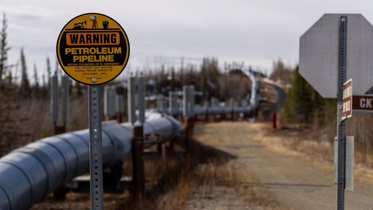 Alaska's Dalton Highway: One Of The World's Most Northern Stretches Of Road
COLDFOOT, ALASKA - MAY 11: A view of the Trans-Alaska Pipeline on May 11, 2024 about eight miles south of Coldfoot, Alaska. The 800-mile-long pipeline pushes oil from Prudhoe Bay to the port of Valdez. (Photo by Lance King/Getty Images)
Lance King