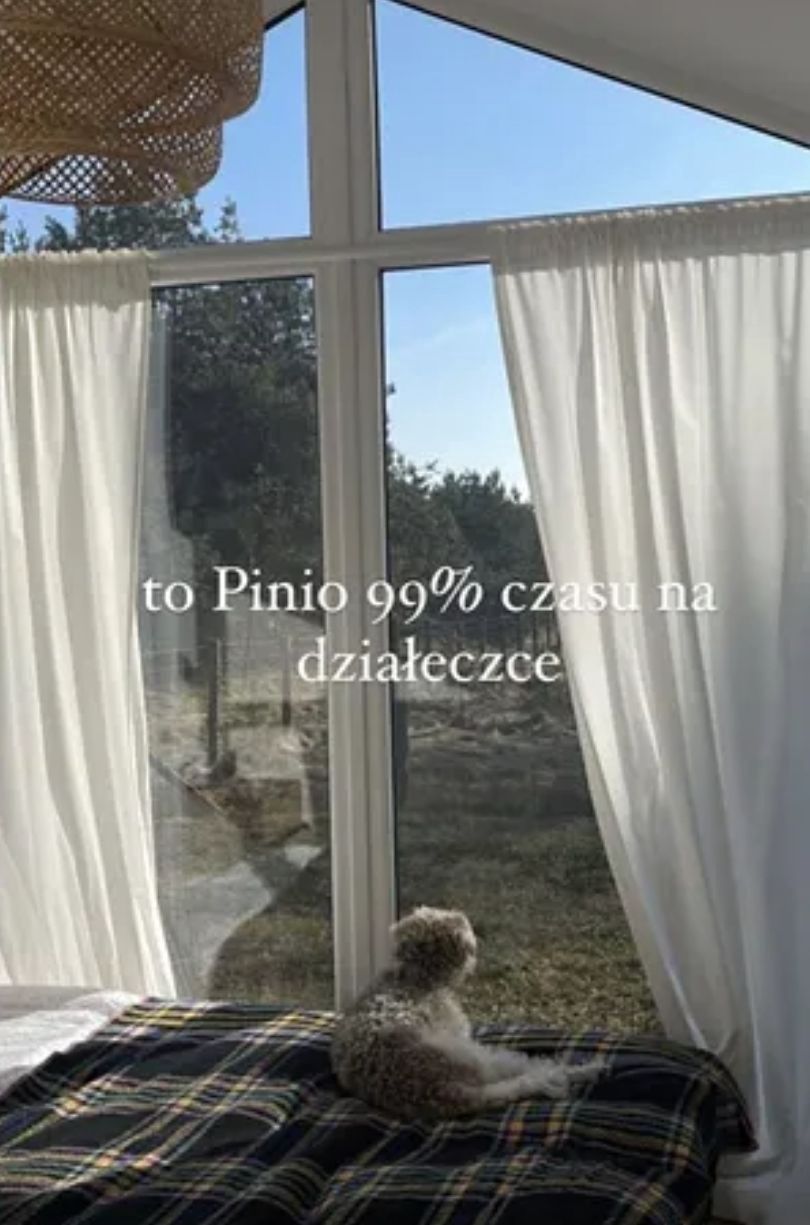 Tak wygląda dom Igi Krefft