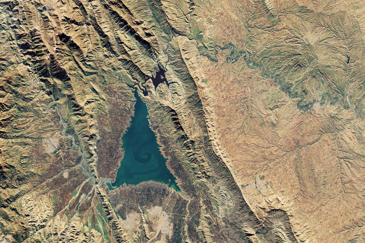 "Christmas Tree Lake"