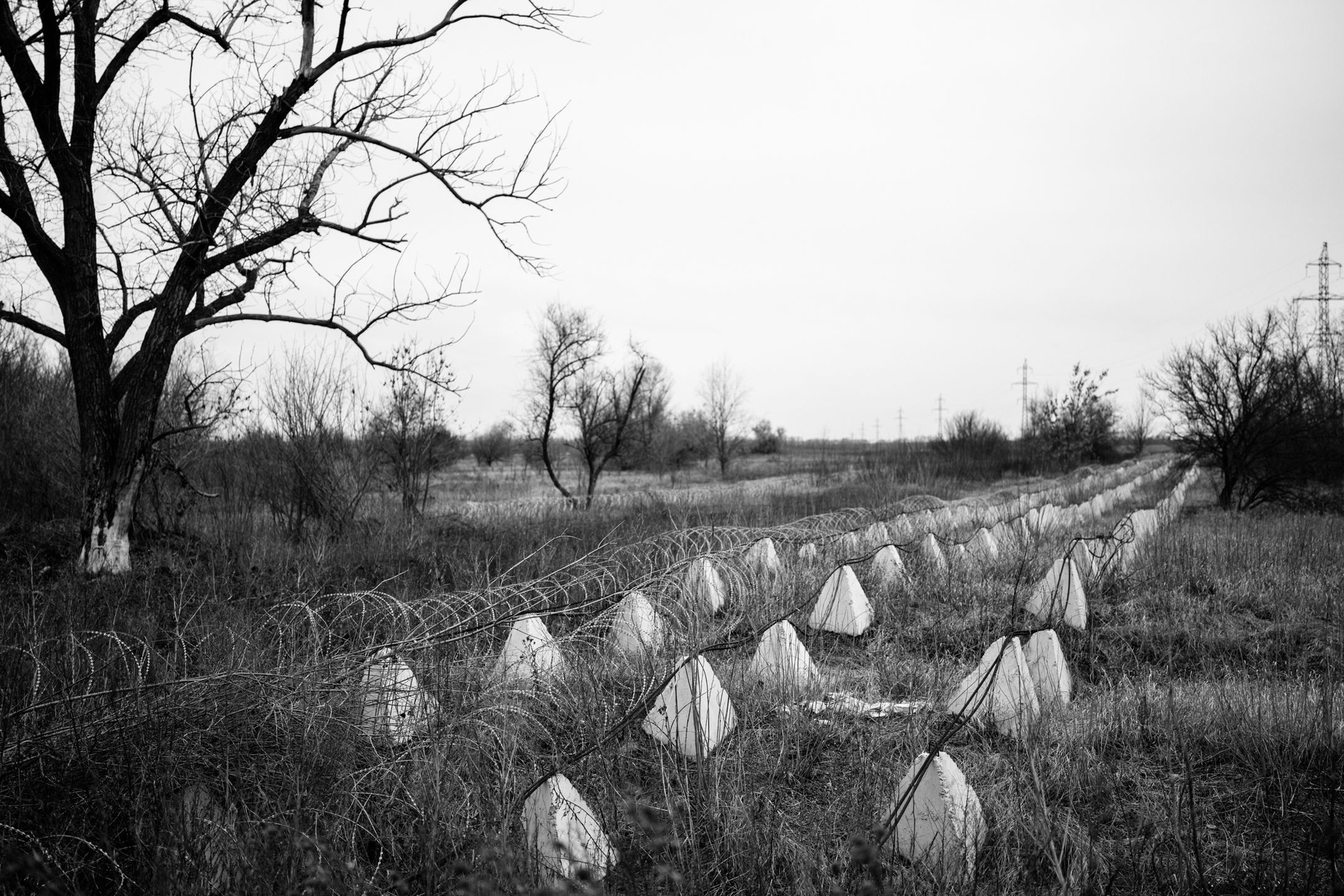 Piechota w pobliżu Pokrowska
