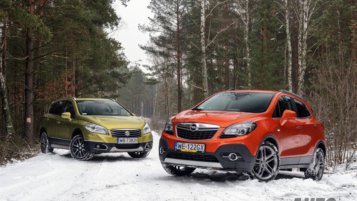 Zdjęcie ilustracyjne do artykułu