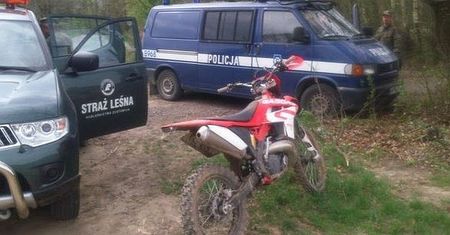Wysokie kary za wjazd do lasu. Leśnicy urządzili łowy