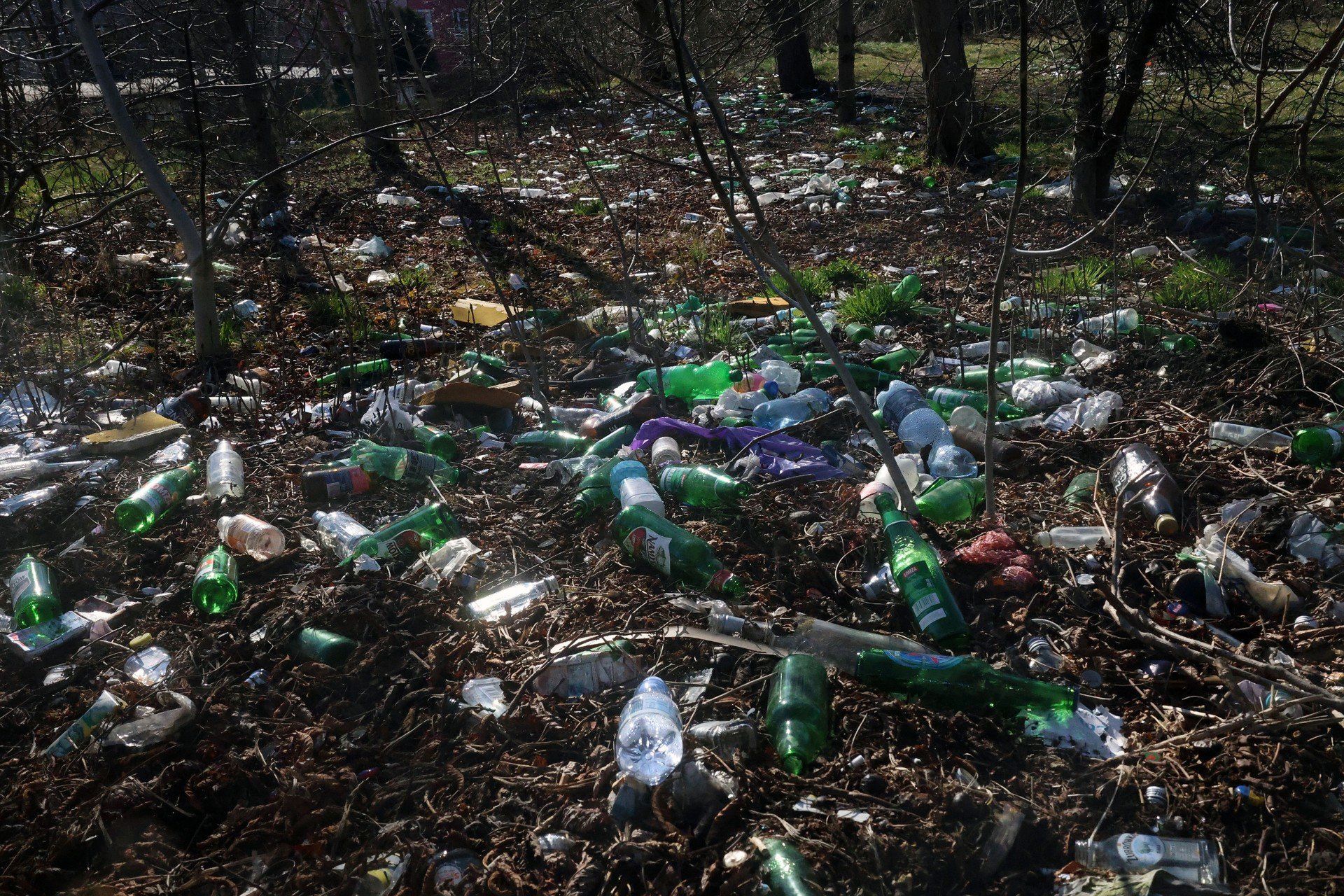 Jednorazowe butelki w prawie jednej trzeciej z recyklingu
