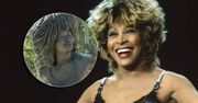 Tina Turner ma swój własny pomnik. W mig wywołał falę oburzenia: "ODDAJCIE pieniądze darczyńcom"