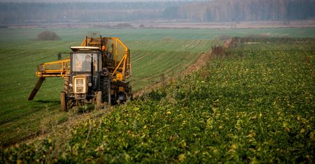 Złe wieści dla rolników. Wyjątkowo ciepły luty narobił problemów