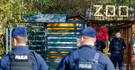 Co dalej ze zwierzętami z zoo w Łącznej? Prokuratura zabrała głos