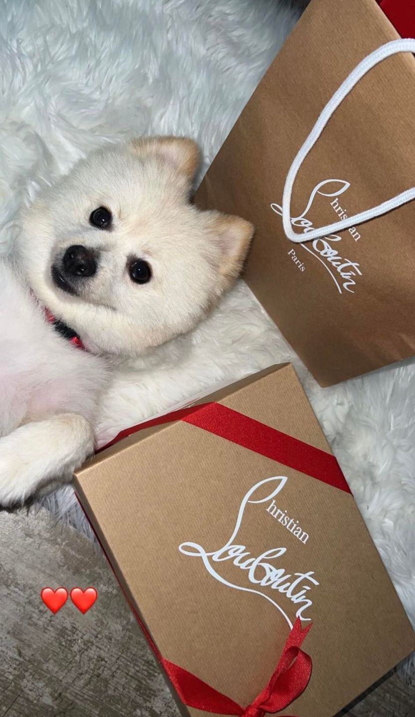 Powrót Caroline Derpienski do Miami