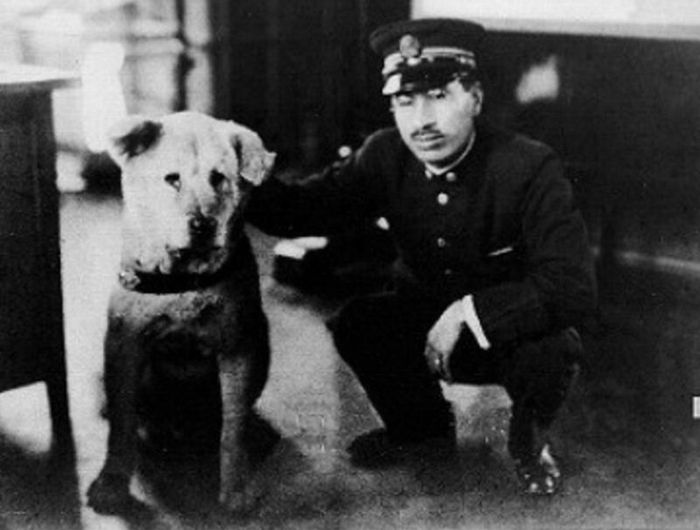 Rzadkie zdjęcia psa Hachiko, który czekał na swojego pana aż do śmierci 9