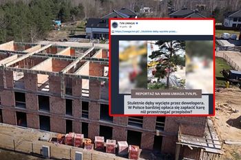 Stuletnie dęby zniknęły z osiedla. Mieszkańcy oskarżają dewelopera