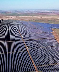 Rosyjscy okupanci zdemontowali i rozkradli największą elektrownię słoneczną