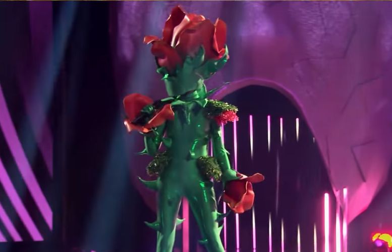 Kim są pozostałe osoby w "Mask Singer"? Internauci mają już swoje typy! 