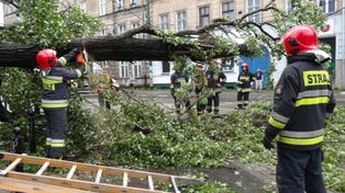 Bilans burz, które przeszły w weekend przez Wielkopolskę. Dwoje rannych i zniszczony budynek
