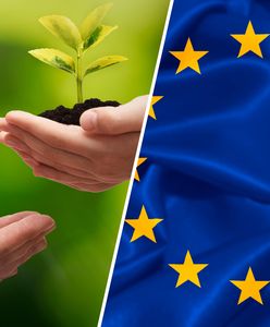 Europejski Zielony Ład i Fit For 55 - czym jest i na czym polega? Najważniejsze założenia, deklaracje i kontrowersje