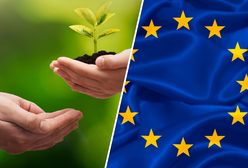 Europejski Zielony Ład i Fit For 55 - czym jest i na czym polega? Najważniejsze założenia, deklaracje i kontrowersje
