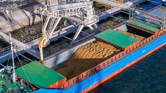 Pierwsza kara za sprowadzanie zboża. "Liczona w milionach zł"