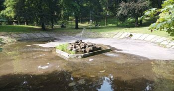 Sosnowiec: Czy zaniedbana fontanna w Parku Dietla odzyska blask? "Wszystko w rękach mieszkańców"
