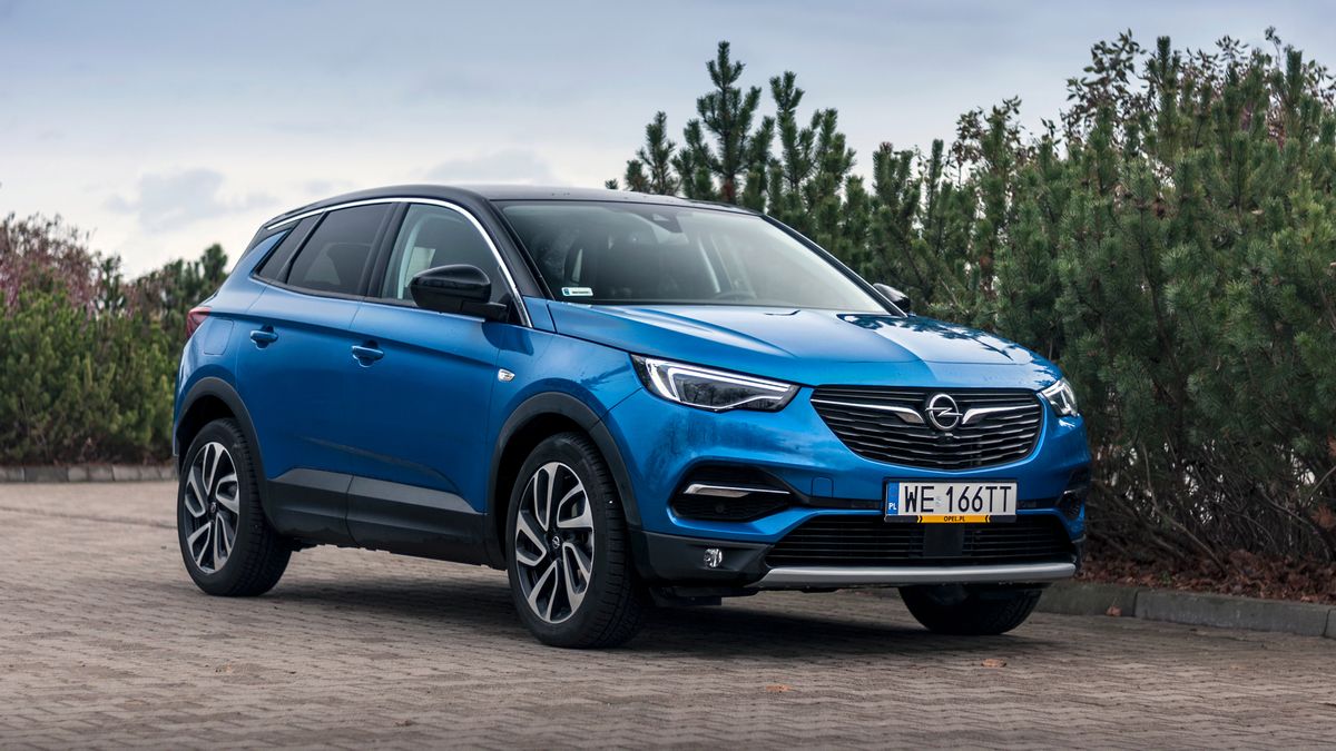 Zdjęcie ilustracyjne do artykułu