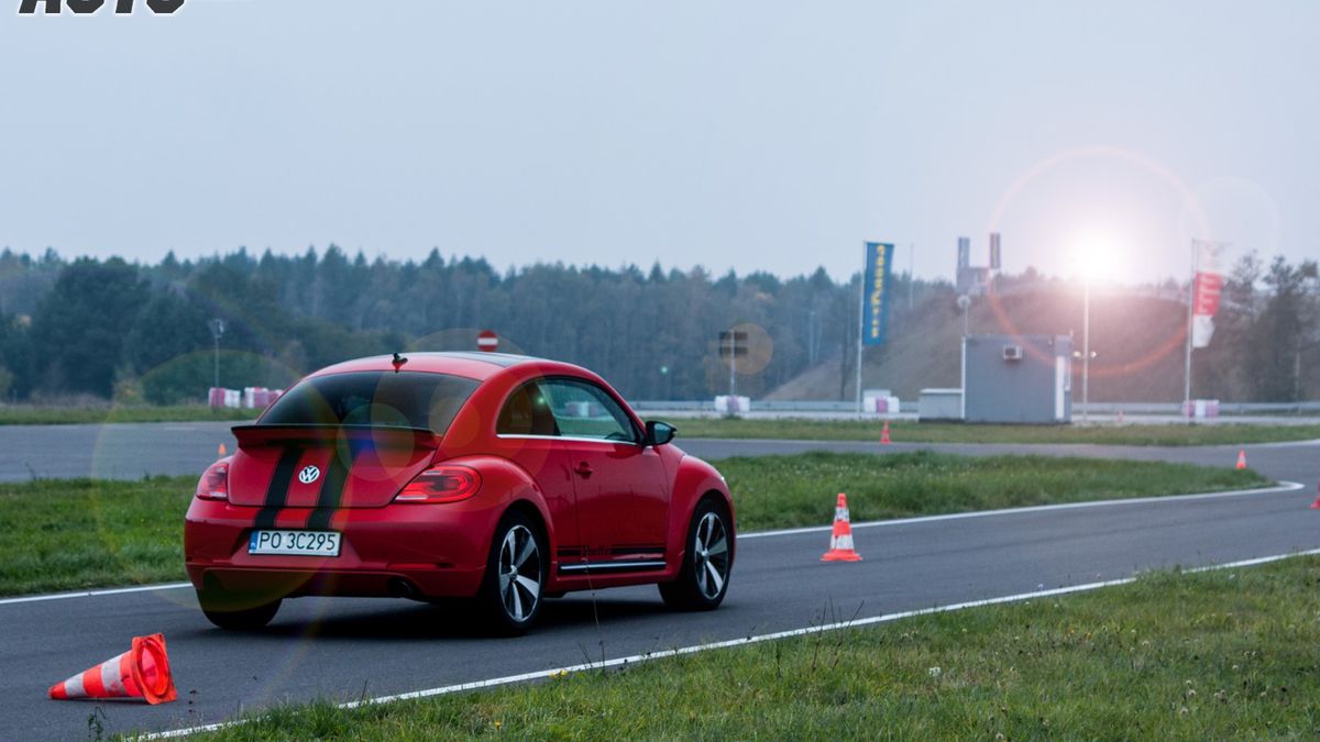 Zdjęcie ilustracyjne do artykułu