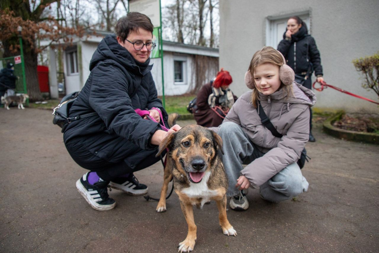 Toruń: Ostatnie w tym sezonie wyprowadzenie psów schroniska. Mieszkańcy wyciągnęli rękę do psich łap