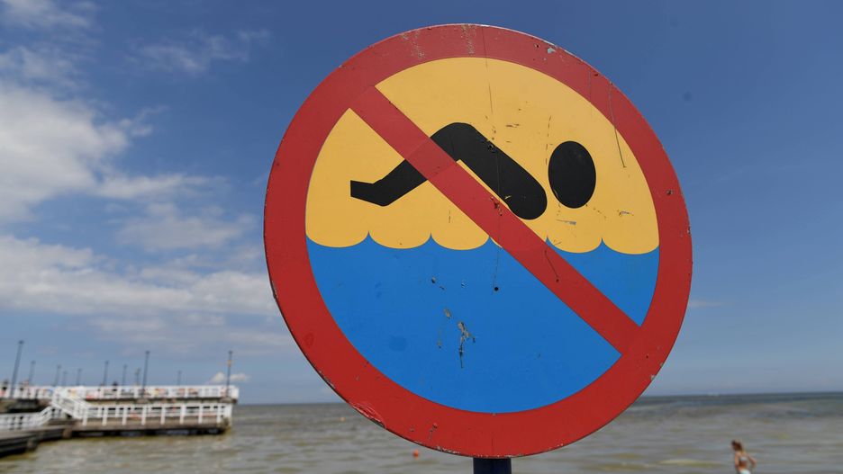 Gdynia. Pierwszy zakwit sinic w tym sezonie. Zamknięta popularna plaża