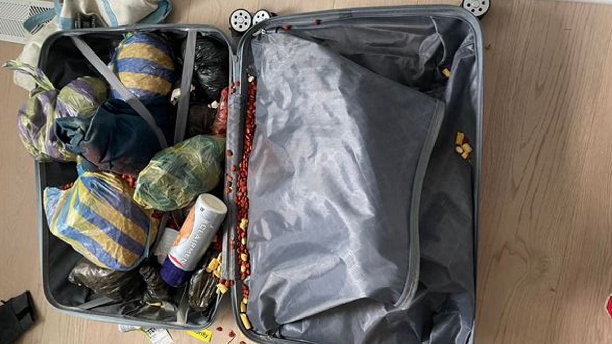 Zamiast prezentów w bagażu była karma dla psów