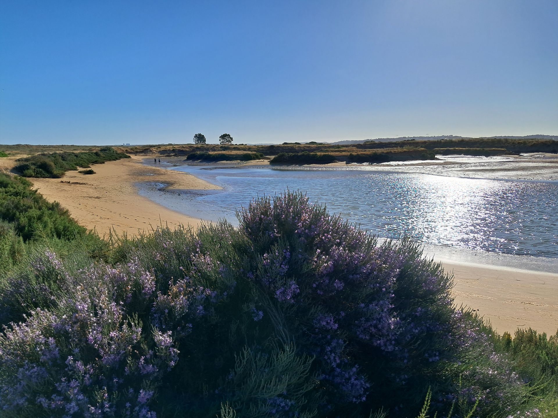 Szlak  Ria de Alvor prowadzi przez wydmy, równiny i słone bagna