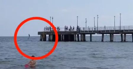 Skaczą z mola do morza. "Skrajna nieodpowiedzialność, a później płacz"