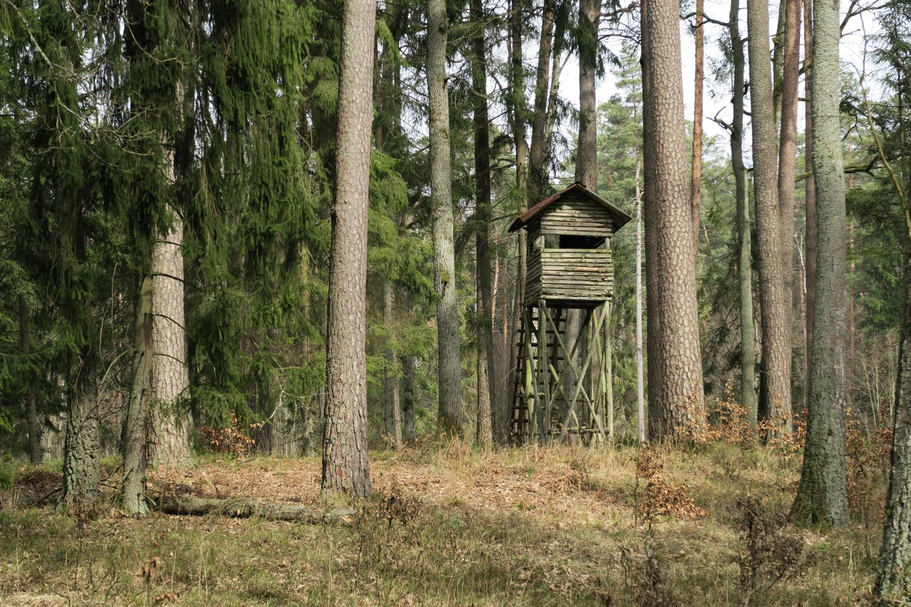 Myśliwy postrzelił 14-latka. Myślał, że to dzik