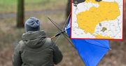 IMGW ostrzega przed silnym wiatrem. Niemal cały kraj w alertach