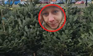 "Nie wiem, co będzie dalej". Sprzedaje choinki. Ujawniła opłaty