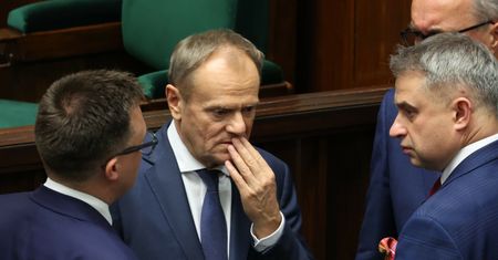 PiS na prowadzeniu w najnowszym sondażu. Konfederacja się umacnia