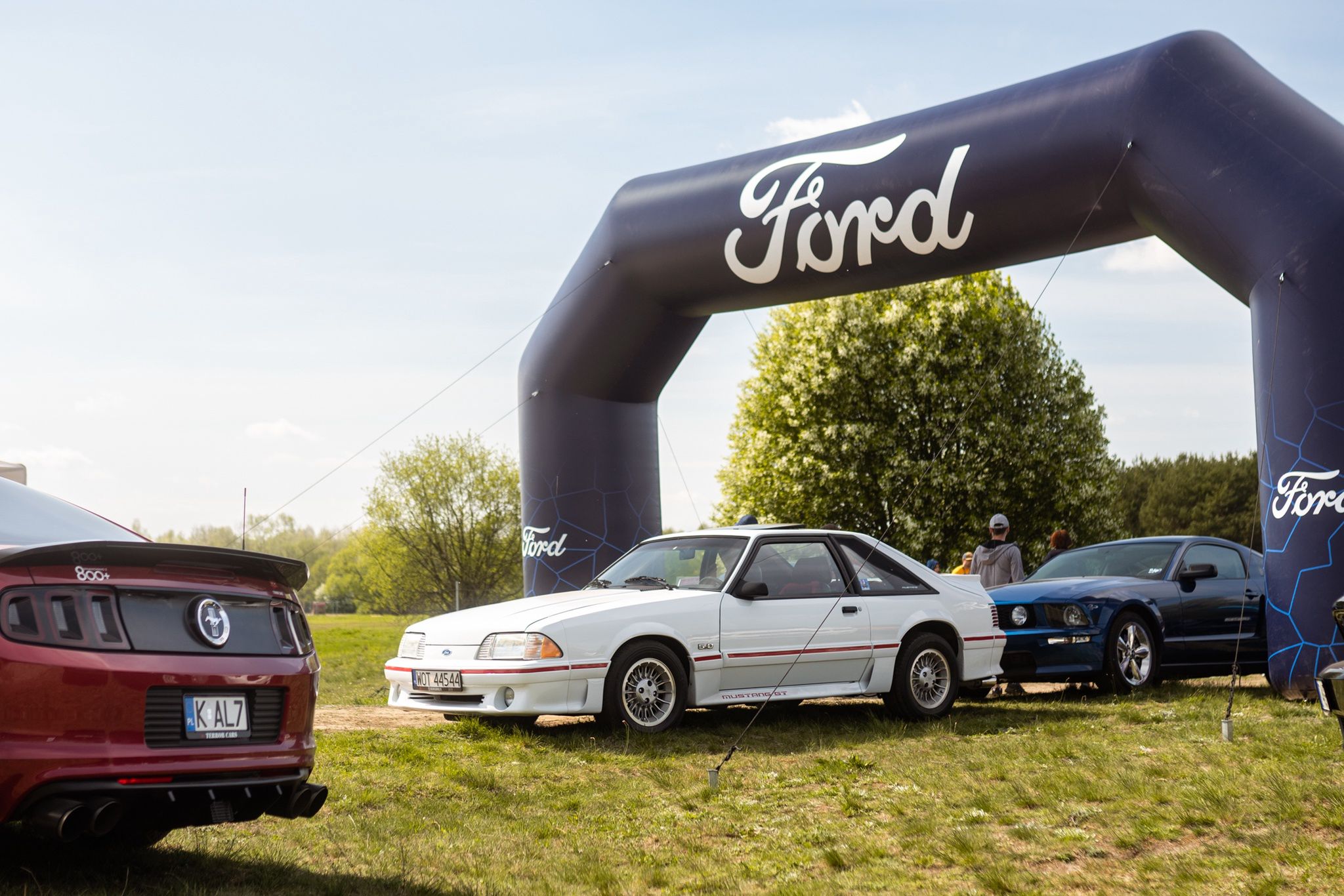 Zlot Mustang Klub Polska