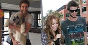 Miley pomogła Liamowi adoptować psa!
