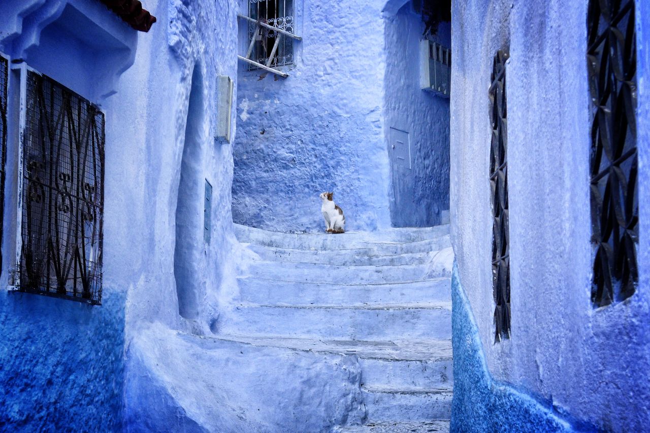 Paint it…blue! Pewne miasteczko w północnym Maroko o dźwięcznej nazwie Chefchaouen, ma większość budynków i uliczek całkowicie pomalowaną na niebiesko.