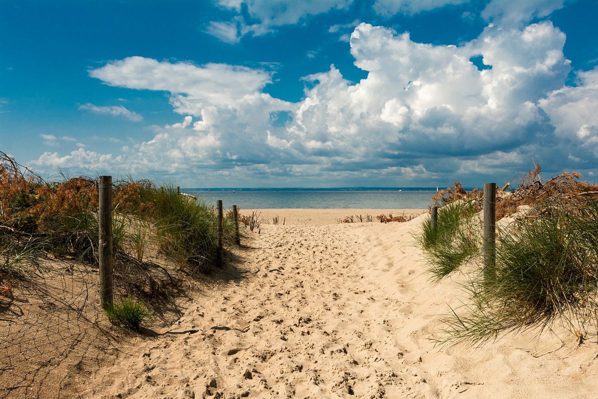 Nietypowy sposób na darmowe wakacje. Wystarczy posprzątać plażę na Helu