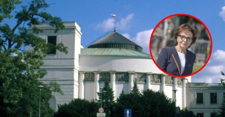 Sejm grodzi się od narodu? Powstanie wielka brama
