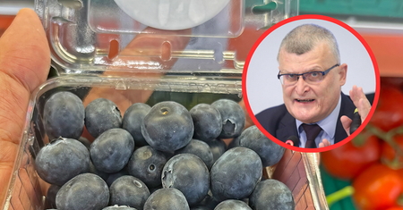 Zbadali polskie borówki w laboratorium. Teraz GIS wydał oświadczenie